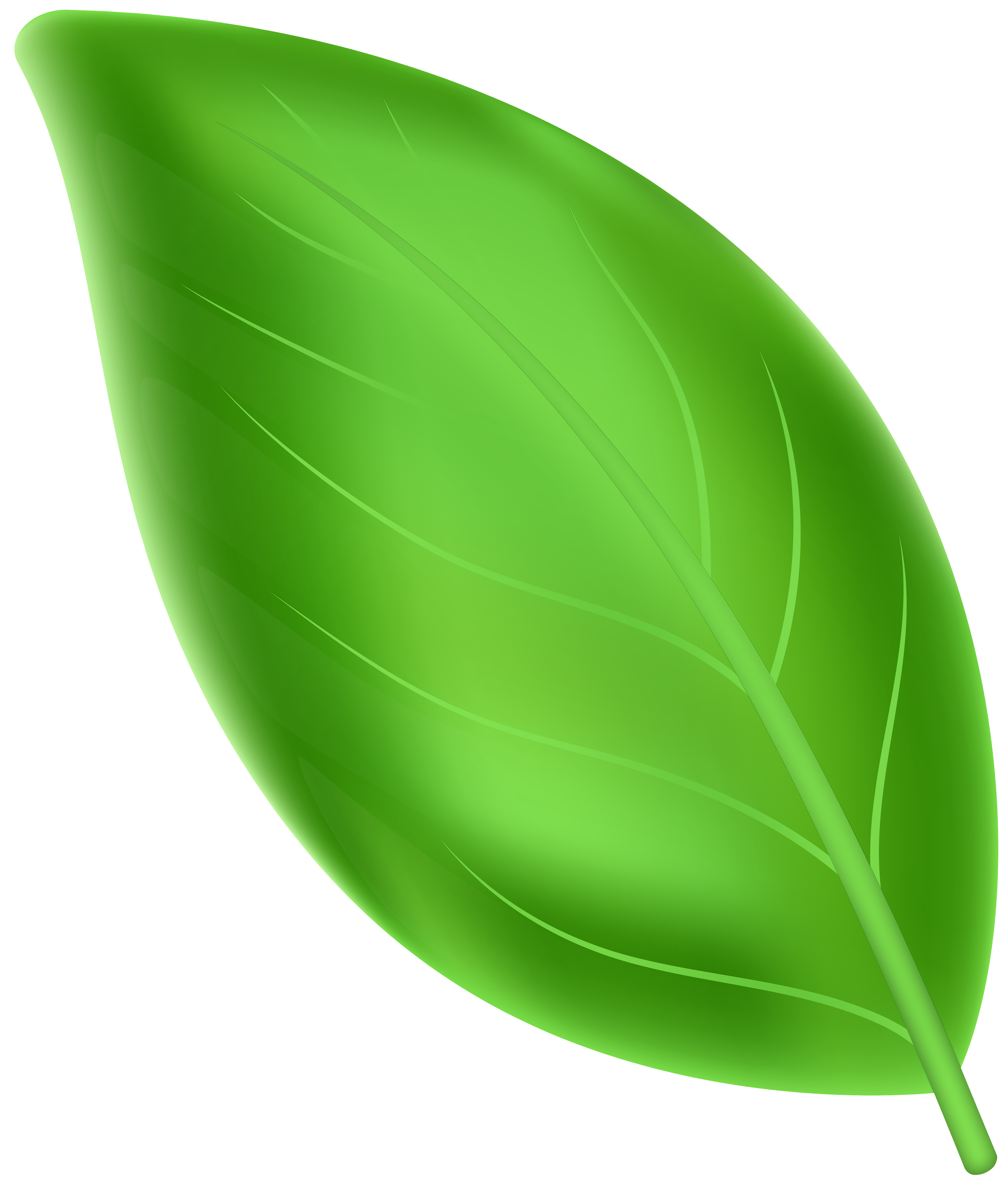 Green Leaf Transparent Clipart​  Gallery Yopriceville - High-Quality Free  Images and Transparent PNG Clipart